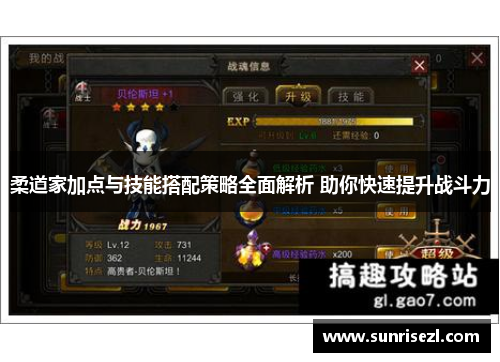 柔道家加点与技能搭配策略全面解析 助你快速提升战斗力
