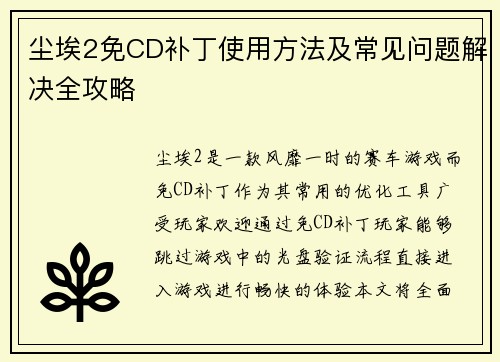 尘埃2免CD补丁使用方法及常见问题解决全攻略